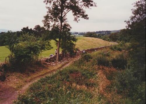 Canal Boundary Wall team 4