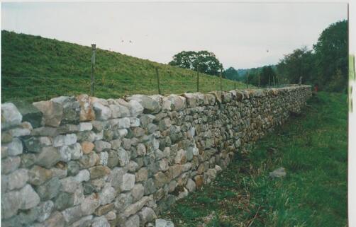 Canal Boundary Wall after