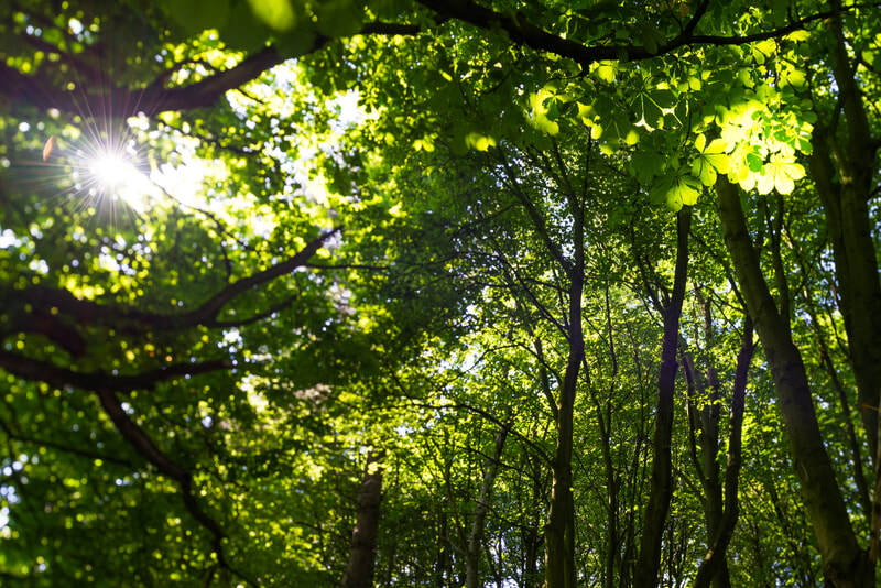 Sedgwick Canal Wildlife Area