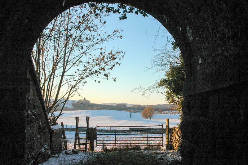 Sedgwick Canal Wildlife Area