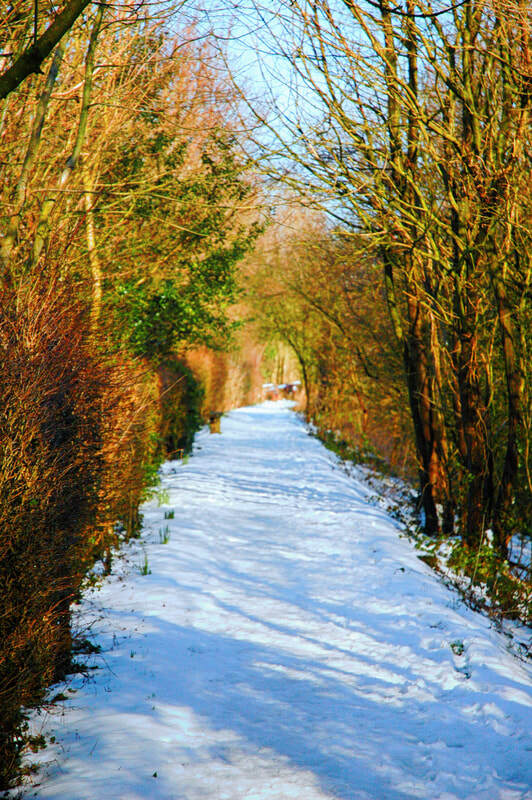Sedgwick Canal Wildlife Area