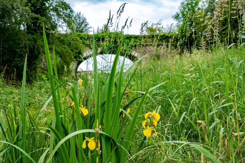 Sedgwick Canal Wildlife Area