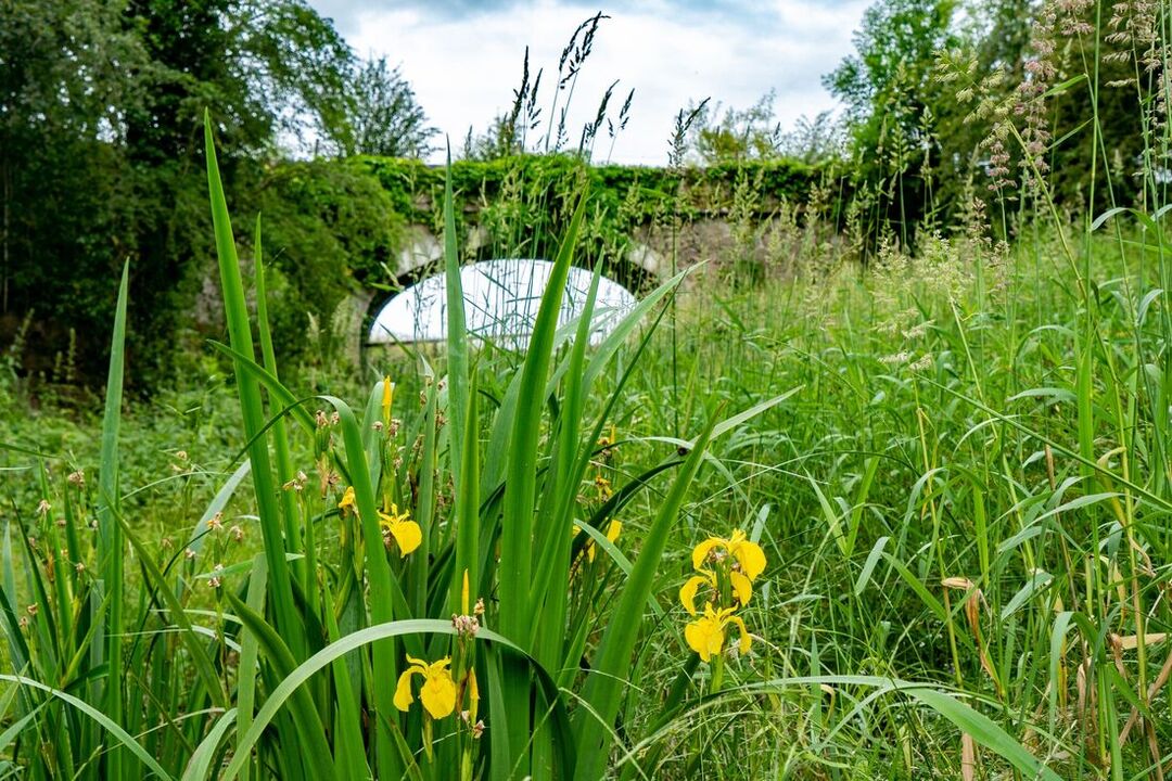 Sedgwick Canal Wildlife Area