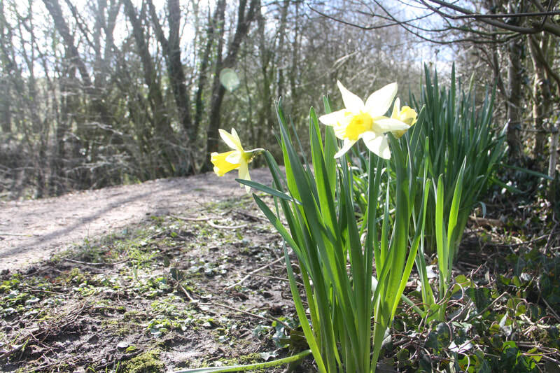 Sedgwick Canal Wildlife Area