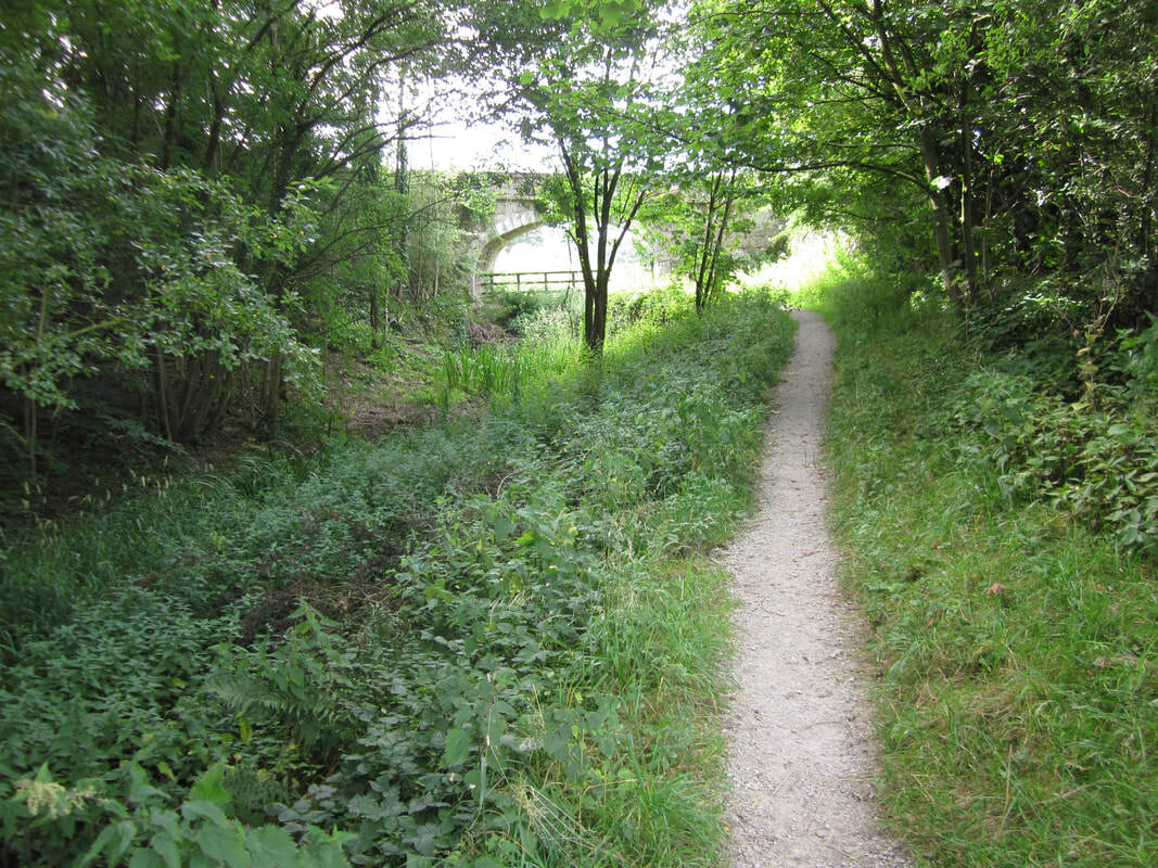 Canal Boundary Wall path