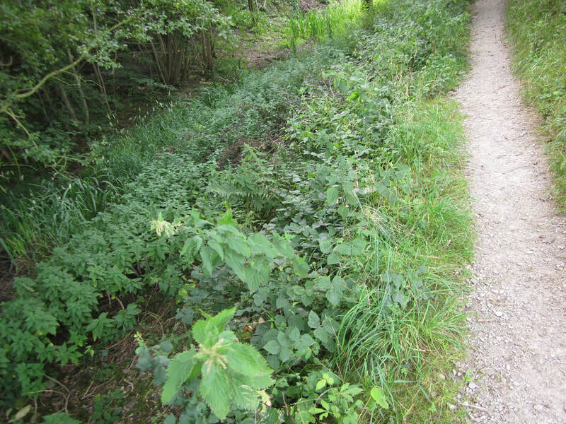 Sedgwick Canal Wildlife Area