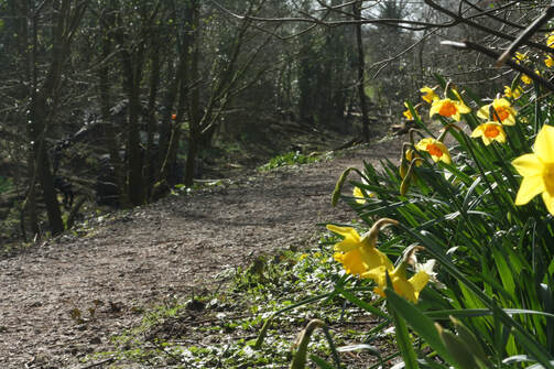 Sedgwick Canal Wildlife Area