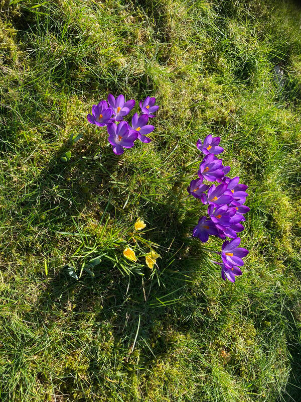 The Millennium Playing Field Playground