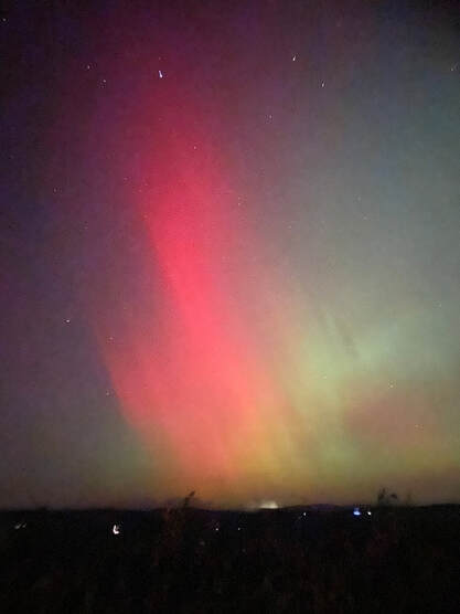 Sedgwick Northern Lights