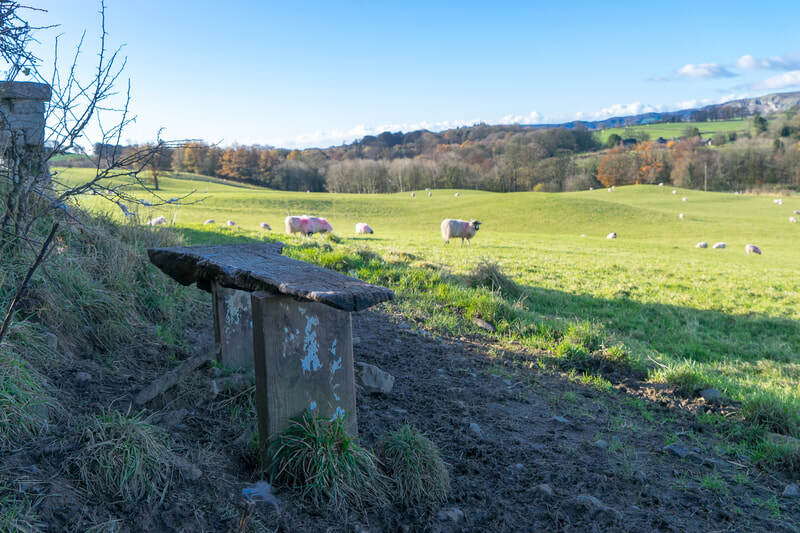 Sedgwick Canal Wildlife Area