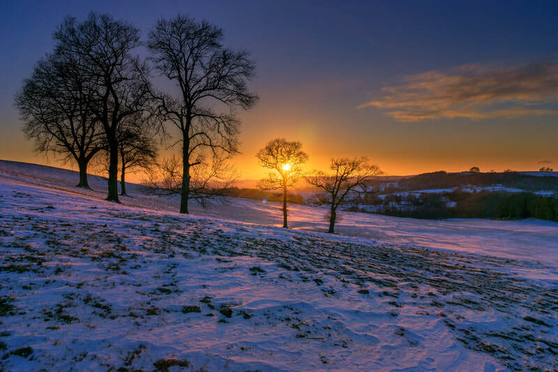 Sedgwick Canal Wildlife Area